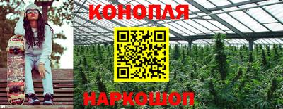 СК Изобильный