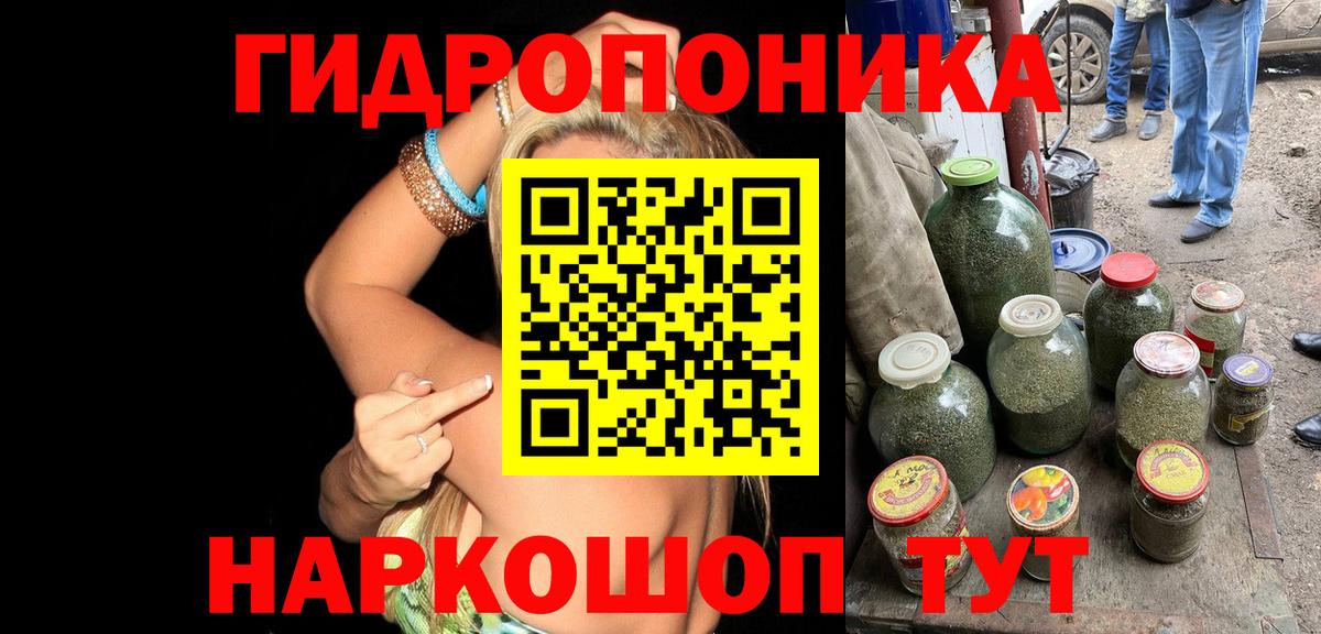 Каннабис индика  Конопля план  Вход с VPN  Марихуана индика  Лабинск 
